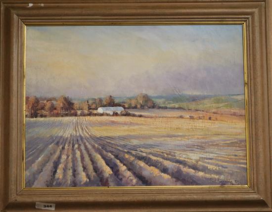 Paul Banning, oil on canvas, fields in winter, signed and dated 89, 44 x 59cm